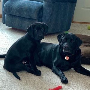 Meet your Posher, Mary